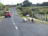 Auf Achill Island