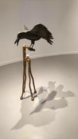 Ausstellung im Siamsa Tire