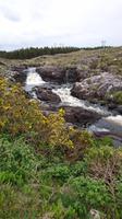 Bach in Connemara