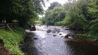 Ballina, Flusslandschaft