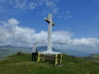 Beare Island
