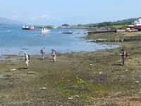 Bere Island
