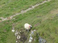 Bere Island