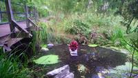 Blarney (15)