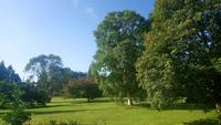 Blarney (19)