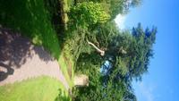Blarney (20)