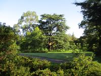 Blarney Castle