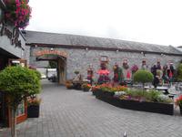 Blumenpracht im Hotel in Leixlip