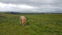Bundoran