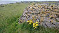 Burren, Irland