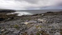 Burren, Irland