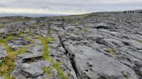 Burren