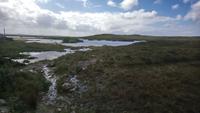 Connemara (11)