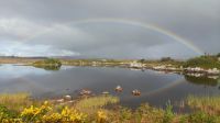 Connemara