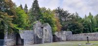 Coole Park Gort