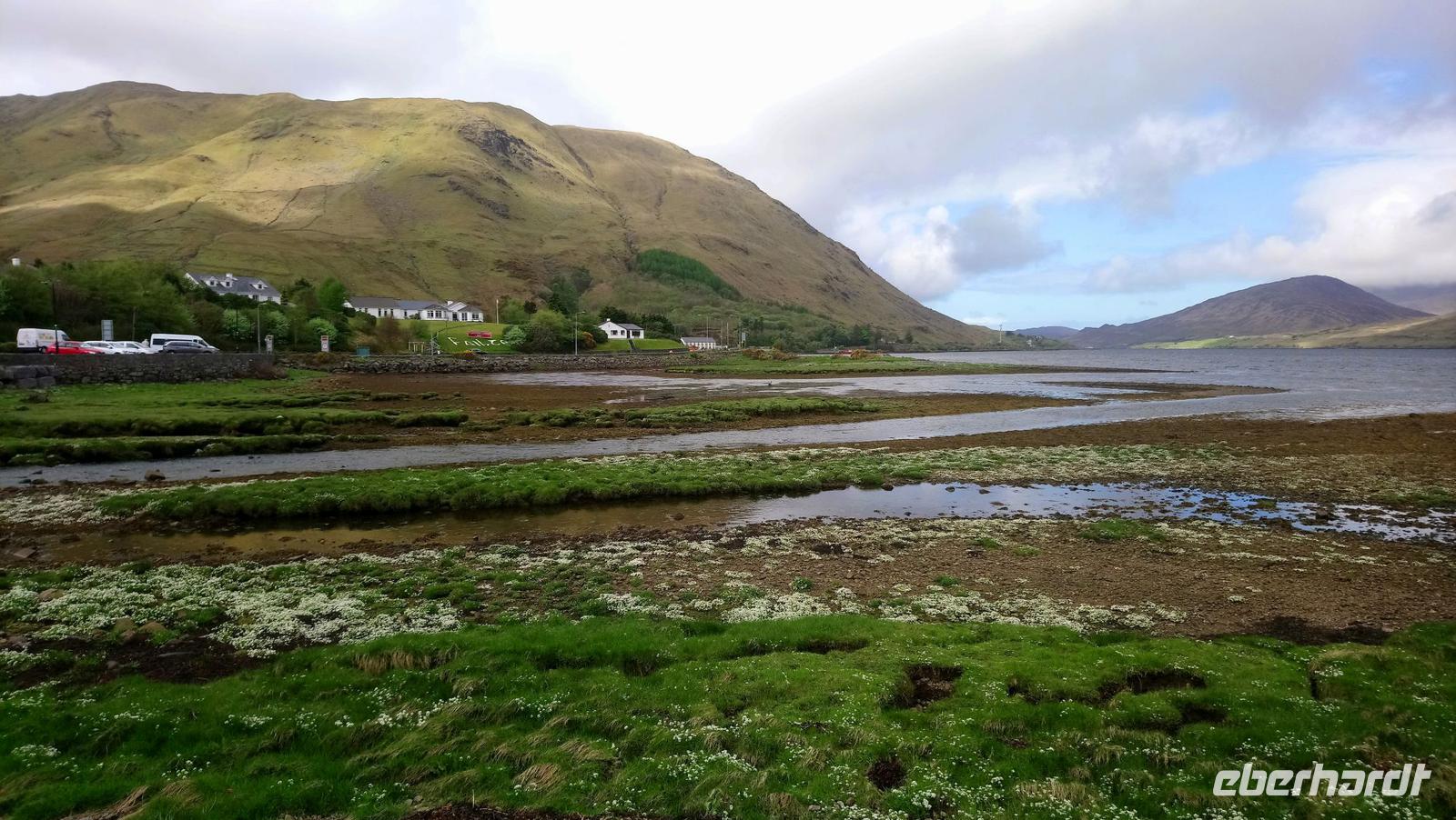 DSC_0045 Connemara
