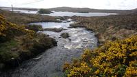 DSC_0081 Connemara