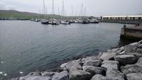DSC_0117dingle