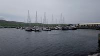 DSC_0118Dingle