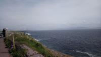 DSC_0121dingle