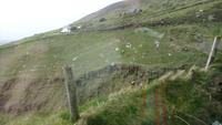 DSC_0125Irland