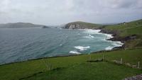 DSC_0137dingle