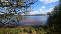 DSC_0189Muckross
