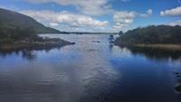 DSC_0197Muckross