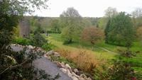 DSC_0277blarney castle (12)