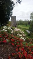 DSC_0277blarney castle (13)