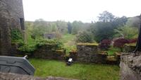 DSC_0277blarney castle (6)