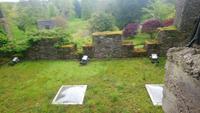 DSC_0277blarney castle (7)