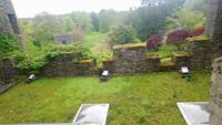 DSC_0277blarney castle (8)