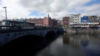 DSC_0318cork
