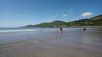 Dingle (21)