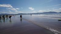 Dingle (23)