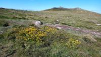 Dingle (3)