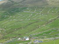 Dingle 