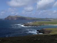Dingle 