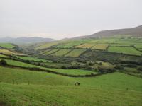 Dingle Halbinsel