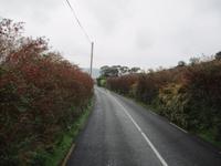 Dingle Halbinsel