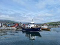 Dingle Town