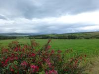 Dingle Way