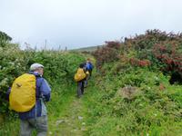 Dingle Way