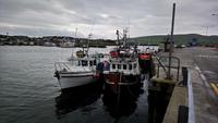 Dingle, Irland