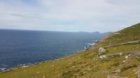 Dingle