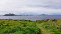 Dingle
