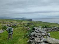 Dingle