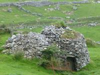 Dingle