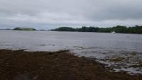 Donegal (14)